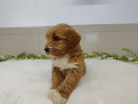 processed/8f485a65-1dcb-48af-a18c-537217c1a2f6/listing/2a1ca3af-2c67-4e1e-9d51-a06d9e70fdc0/83a7bf65-49e4-4918-b6e1-e55f89d886c5