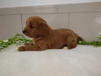 processed/8f485a65-1dcb-48af-a18c-537217c1a2f6/listing/7c79d969-ae64-4b02-91e8-a08f9d284be8/8d659789-04c8-48a6-beff-980aab45c070