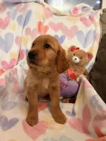 processed/8f4c1a3e-8c98-40a6-83e5-606d39999acd/listing/407cb141-7551-44f0-8c5d-63600f47e113/0a15ed72-7b4f-42bf-86e9-36fcda4e0c89