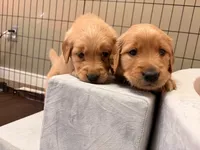 processed/8f4c1a3e-8c98-40a6-83e5-606d39999acd/listing/407cb141-7551-44f0-8c5d-63600f47e113/7636aa96-727f-4f41-bc27-c8451bfa0529