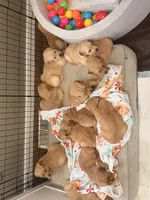 processed/8f4c1a3e-8c98-40a6-83e5-606d39999acd/listing/407cb141-7551-44f0-8c5d-63600f47e113/afcbfe97-9098-430b-811e-5bca9f0ea1b8