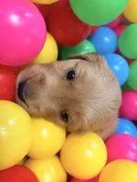 processed/8f4c1a3e-8c98-40a6-83e5-606d39999acd/listing/407cb141-7551-44f0-8c5d-63600f47e113/dd19aafb-24ab-4492-97fd-34efbf7f53f5