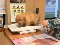 processed/8f4c1a3e-8c98-40a6-83e5-606d39999acd/listing/77a072a1-c8e7-49dd-9f5f-28ed1cdc3966/030be947-bb83-4cbe-b4f1-36787f473aa0