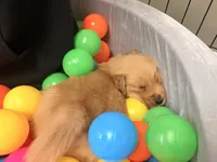 processed/8f4c1a3e-8c98-40a6-83e5-606d39999acd/listing/77a072a1-c8e7-49dd-9f5f-28ed1cdc3966/249fbdcd-5bec-4afe-8cf8-d1759c64f636