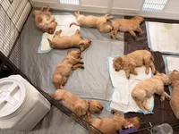 processed/8f4c1a3e-8c98-40a6-83e5-606d39999acd/listing/77a072a1-c8e7-49dd-9f5f-28ed1cdc3966/3401c9c7-3677-405e-83ac-cd3bed50c506