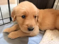 processed/8f4c1a3e-8c98-40a6-83e5-606d39999acd/listing/77a072a1-c8e7-49dd-9f5f-28ed1cdc3966/b3a49da3-30bb-489c-9e80-7c82fd00b58e