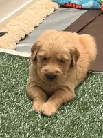 processed/8f4c1a3e-8c98-40a6-83e5-606d39999acd/listing/77a072a1-c8e7-49dd-9f5f-28ed1cdc3966/b60f54a0-e969-4e13-b43c-696a5e52beb5