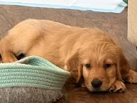 processed/8f4c1a3e-8c98-40a6-83e5-606d39999acd/listing/77a072a1-c8e7-49dd-9f5f-28ed1cdc3966/e53b331a-78cf-4ef8-b850-eb9c6411f910