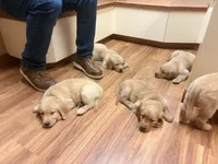 processed/8f4c1a3e-8c98-40a6-83e5-606d39999acd/listing/77a072a1-c8e7-49dd-9f5f-28ed1cdc3966/f6836710-2626-46c0-988d-6e67e44665aa