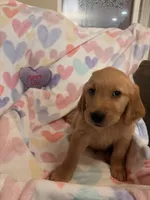 processed/8f4c1a3e-8c98-40a6-83e5-606d39999acd/listing/7b267fb3-fb1f-42e5-ba64-5e6c484ee547/32aeb678-3a43-4dc6-982e-405c74837ae8