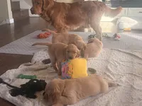 processed/8f4c1a3e-8c98-40a6-83e5-606d39999acd/listing/7b267fb3-fb1f-42e5-ba64-5e6c484ee547/46b7f6a7-151a-4f89-8021-5aa60e333232