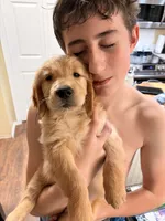 processed/8f4c1a3e-8c98-40a6-83e5-606d39999acd/listing/7b267fb3-fb1f-42e5-ba64-5e6c484ee547/625d59ed-2271-4b77-8562-bd816df2f928