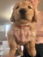 processed/8f4c1a3e-8c98-40a6-83e5-606d39999acd/listing/7b267fb3-fb1f-42e5-ba64-5e6c484ee547/676ae1b0-24ff-44b9-b93c-14a5b0e6a387