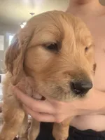 processed/8f4c1a3e-8c98-40a6-83e5-606d39999acd/listing/7b267fb3-fb1f-42e5-ba64-5e6c484ee547/7bf94487-ce02-491b-87a3-edb449ebee9d