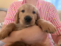 processed/8f4c1a3e-8c98-40a6-83e5-606d39999acd/listing/7b267fb3-fb1f-42e5-ba64-5e6c484ee547/86dbb548-c122-45ec-b6a6-1c087891d6db