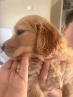 processed/8f4c1a3e-8c98-40a6-83e5-606d39999acd/listing/7b267fb3-fb1f-42e5-ba64-5e6c484ee547/990192d7-7798-48c3-86d8-dd9239f380ac