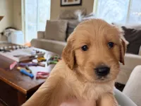 processed/8f4c1a3e-8c98-40a6-83e5-606d39999acd/listing/f71398cc-f019-45a8-881e-61feef526a93/1b8d96b7-be52-4485-9b4c-ddf171b34255