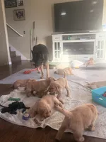 processed/8f4c1a3e-8c98-40a6-83e5-606d39999acd/listing/f71398cc-f019-45a8-881e-61feef526a93/4aa4bcbb-941b-40cb-b20f-03a630e68c98