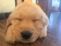 processed/8f4c1a3e-8c98-40a6-83e5-606d39999acd/listing/f71398cc-f019-45a8-881e-61feef526a93/4cb4e67e-b2b0-4059-93dd-127d365dd2e1