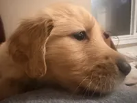 processed/8f4c1a3e-8c98-40a6-83e5-606d39999acd/listing/f71398cc-f019-45a8-881e-61feef526a93/5ca4c5b1-d085-4e53-b2dc-f2aeae60d0cc