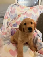 processed/8f4c1a3e-8c98-40a6-83e5-606d39999acd/listing/f71398cc-f019-45a8-881e-61feef526a93/7c1ab7b1-a1a9-4f3c-857b-5626a078d954