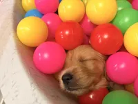 processed/8f4c1a3e-8c98-40a6-83e5-606d39999acd/listing/f71398cc-f019-45a8-881e-61feef526a93/ddaaf3ca-a6a0-4cea-aa41-8702bdb548eb