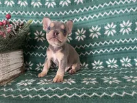 processed/8f4c3f95-142f-4f35-ba3c-706816850356/listing/e9807699-3258-4e56-a983-3aa36f08b9a7/1696dc8c-d23d-4989-8845-6f641e4983d4