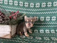 processed/8f4c3f95-142f-4f35-ba3c-706816850356/listing/e9807699-3258-4e56-a983-3aa36f08b9a7/566ada9c-92d7-4eb0-8ef7-59fbd3bae868