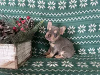 processed/8f4c3f95-142f-4f35-ba3c-706816850356/listing/e9807699-3258-4e56-a983-3aa36f08b9a7/62fd36db-3a30-4fc0-81d8-0467c0ecc330