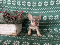 processed/8f4c3f95-142f-4f35-ba3c-706816850356/listing/e9807699-3258-4e56-a983-3aa36f08b9a7/d2225e68-a0b1-43ee-af72-34edd95822a1