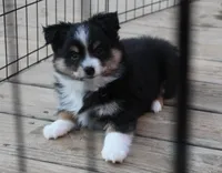 processed/8f4f0096-31c4-45fc-96c3-ddf48b6d2ce8/listing/713aafa2-89a4-4dfe-8afe-0665f2066e07/1e7a5b59-1f8d-4696-b493-a05cb0604a48