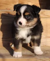 processed/8f4f0096-31c4-45fc-96c3-ddf48b6d2ce8/listing/713aafa2-89a4-4dfe-8afe-0665f2066e07/81e2b9f6-87b0-4646-b2fe-ee1babcddff3