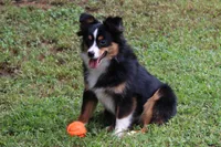 processed/8f4f0096-31c4-45fc-96c3-ddf48b6d2ce8/listing/713aafa2-89a4-4dfe-8afe-0665f2066e07/c0b051d0-51c1-4e5a-bd51-a87b6e211efd