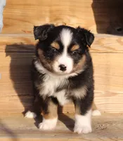 processed/8f4f0096-31c4-45fc-96c3-ddf48b6d2ce8/listing/713aafa2-89a4-4dfe-8afe-0665f2066e07/e0edac5d-a92c-493d-8773-76a32e882b24