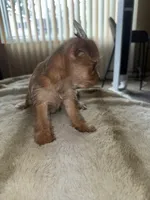 processed/8f581111-0f8e-4609-b0ff-41a0f85ad10e/listing/51e6d54e-ff95-4de1-b268-21e909726a4b/198c7f33-da8f-4fd7-bbb3-7a7ab1f7490f