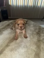 processed/8f581111-0f8e-4609-b0ff-41a0f85ad10e/listing/51e6d54e-ff95-4de1-b268-21e909726a4b/4ede9fd3-d871-476b-8e21-4acf6cf8d45d