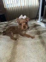 processed/8f581111-0f8e-4609-b0ff-41a0f85ad10e/listing/51e6d54e-ff95-4de1-b268-21e909726a4b/6dacc2e5-e5d9-4fbf-8c72-4e5531dc386e