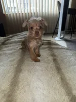 processed/8f581111-0f8e-4609-b0ff-41a0f85ad10e/listing/51e6d54e-ff95-4de1-b268-21e909726a4b/87f4c3a2-2ae3-44fc-a717-a5865ac47e8a