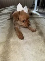 processed/8f581111-0f8e-4609-b0ff-41a0f85ad10e/listing/51e6d54e-ff95-4de1-b268-21e909726a4b/9a9ea458-89b6-42e0-8d59-d6f7db56f9d8