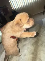 processed/8f581111-0f8e-4609-b0ff-41a0f85ad10e/listing/51e6d54e-ff95-4de1-b268-21e909726a4b/a2e43aa5-7f01-4889-bc04-93ad0a76976a