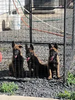 Facility photo