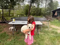 White Sniper, a female Dogo Argentino for sale in Panama City Beach, FL – 8 of 10