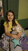 White Sniper, a female Dogo Argentino for sale in Panama City Beach, FL – 3 of 6