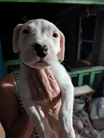 processed/8f66b7cc-3894-4e61-b804-9e0f89b0c491/listing/695ea90e-9a68-4a6b-8efc-e8421b065cb9/1e43bdc3-ba6b-442e-8b82-fb4b5354f00f