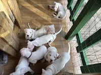 processed/8f66b7cc-3894-4e61-b804-9e0f89b0c491/listing/c76d0815-4f74-4ad9-9480-1cad6dd8dbf9/83b67352-e7d2-4441-9a7e-d305398c5df2