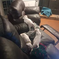 processed/8f66b7cc-3894-4e61-b804-9e0f89b0c491/listing/c76d0815-4f74-4ad9-9480-1cad6dd8dbf9/a44c7108-99bf-43d0-a78b-504322bea70d