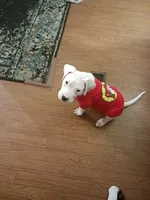 processed/8f66b7cc-3894-4e61-b804-9e0f89b0c491/listing/e44c5600-e0ef-4b6b-86af-c5b8cb8405ad/f6459d5d-ee62-4043-93a8-6ab3adf75993