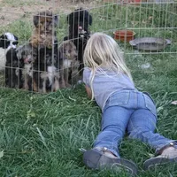 processed/8f6af98d-038c-4085-b36f-c3480b71c991/facility/c7316ba0-2a6f-405b-a56d-28013b9906e9