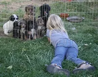 processed/8f6af98d-038c-4085-b36f-c3480b71c991/facility/c7316ba0-2a6f-405b-a56d-28013b9906e9