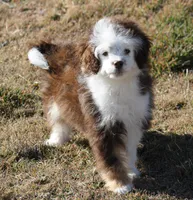 processed/8f6af98d-038c-4085-b36f-c3480b71c991/listing/9192f477-c023-43ff-a625-6e80d8bee60c/2a833607-651c-4992-9dc5-c2b295bf1d2e